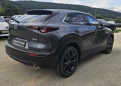 Mazda CX-30 2.0 e-SKYACTIV X 186 AT AWD Homura ALLRAD