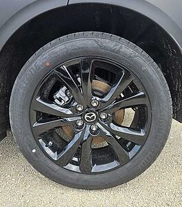 Mazda CX-30 2.0 e-SKYACTIV X 186 AT AWD Homura ALLRAD