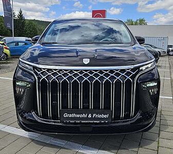 -andere- Sonstige 9 HYBRID 1.5-T DHT 7-Sitzer