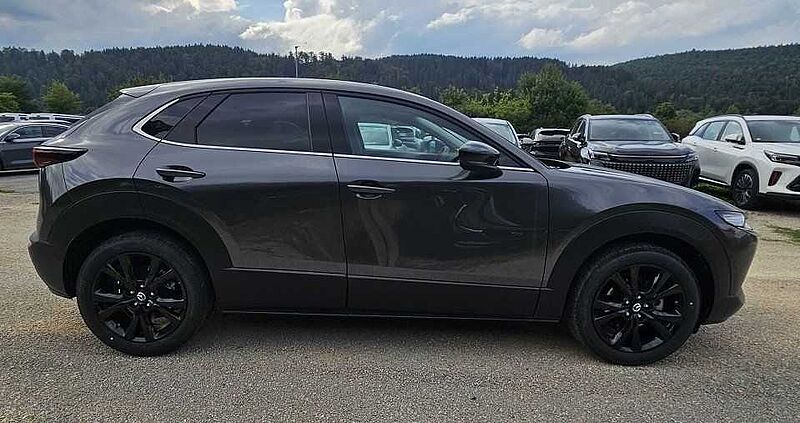 Mazda CX-30 2.0 e-SKYACTIV X 186 AT AWD Homura ALLRAD